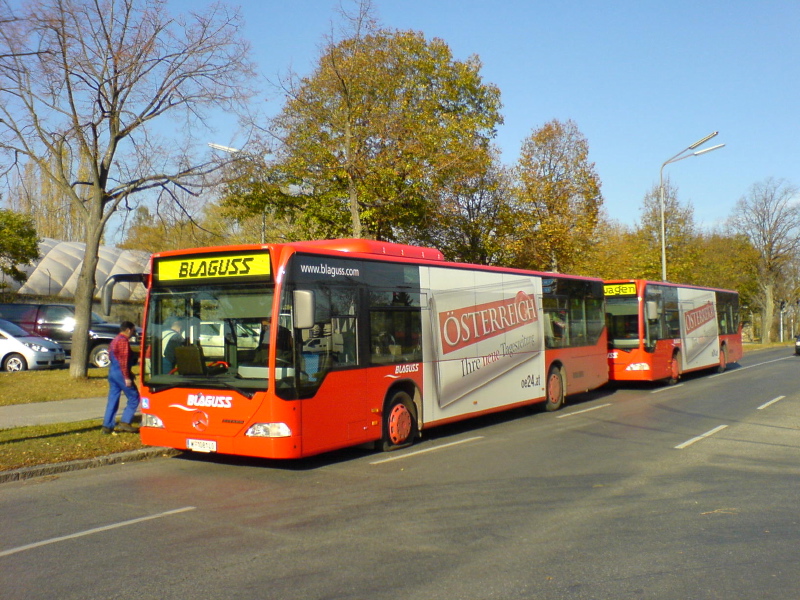 BLAGUSS Reifenschaden am GrünenBerg 4