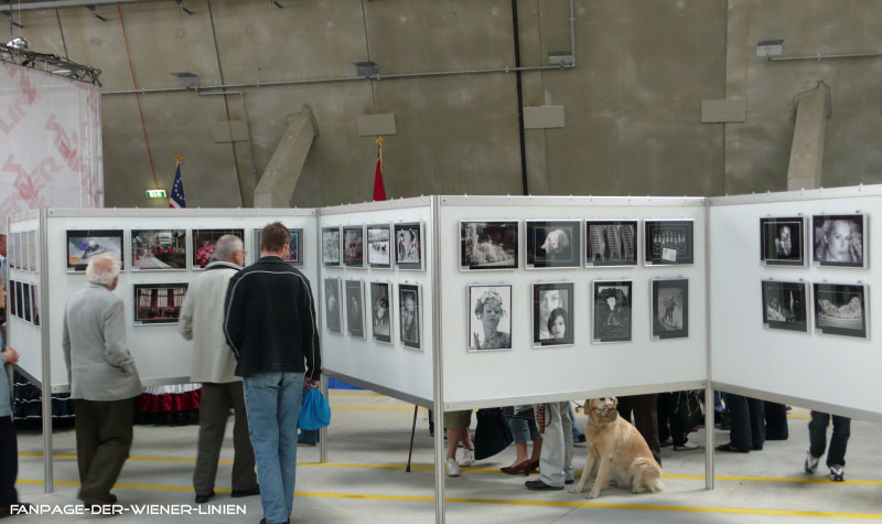 12 Fotoausstellung