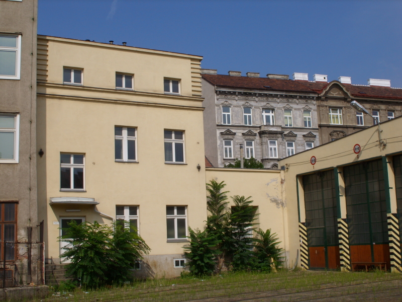 Nächstes Bild