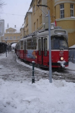 Schneeschauer & Linie 38 (A) 3