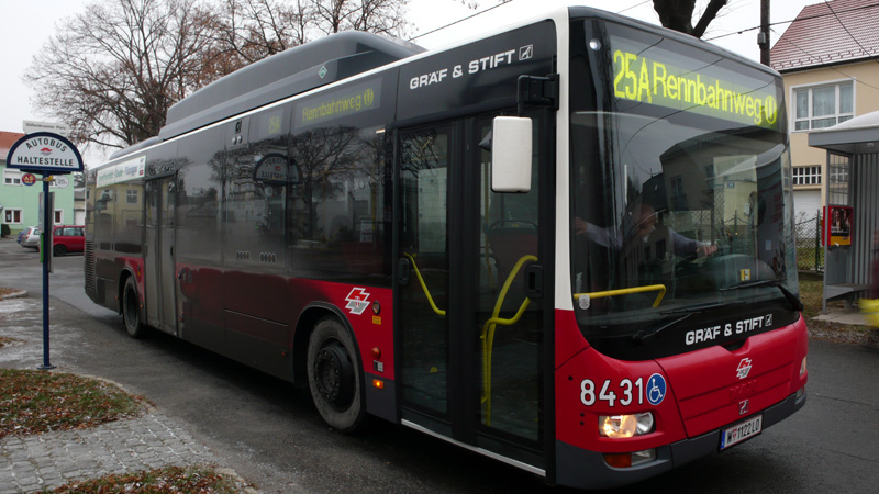 25A 8431