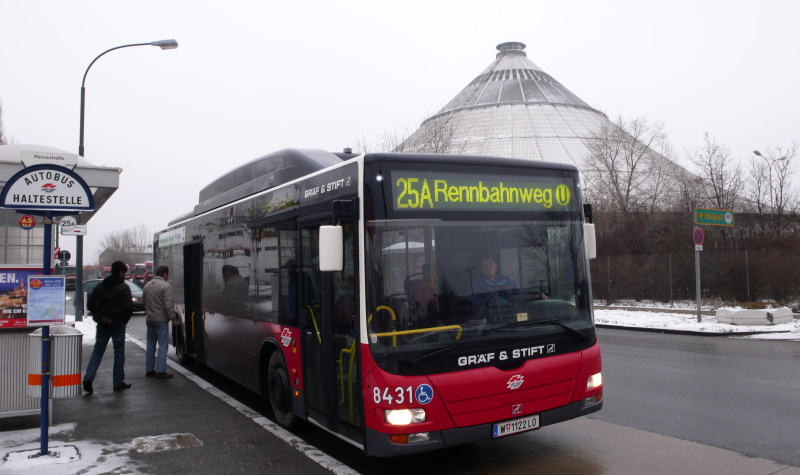 25A 8431 Rinterzelt